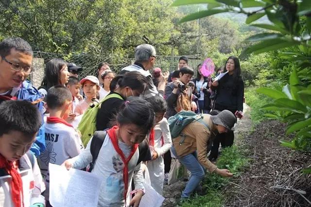 走進李良濟，尋藥樹山中(圖3)